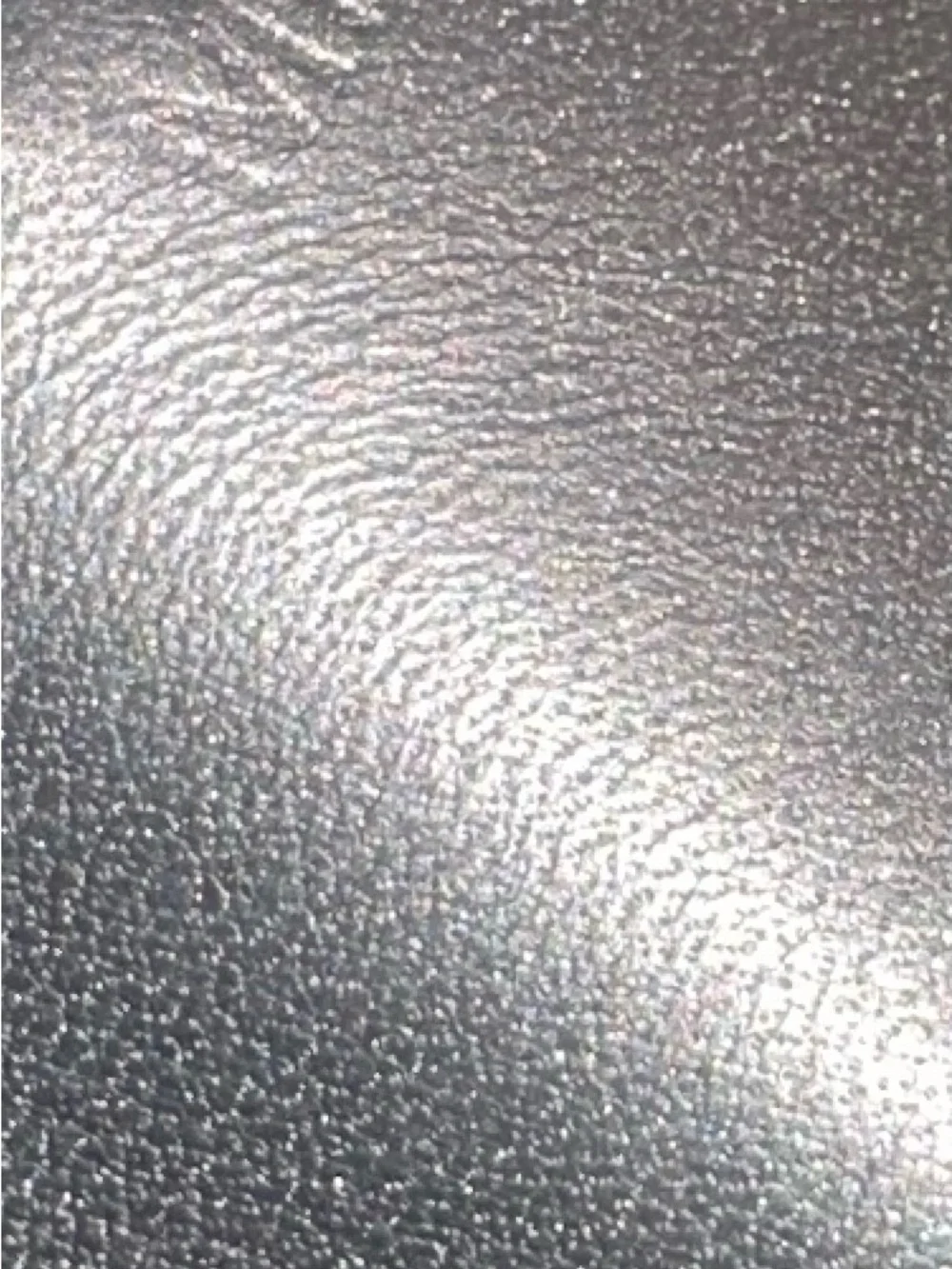 Louis Vuitton authentic louis